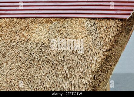Fragment of an old thatched roof as a concept for environmentally friendly housing and natural insulation. Stock Photo