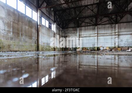 Inside of flooded dirty abandoned ruined industrial building with water reflection Stock Photo