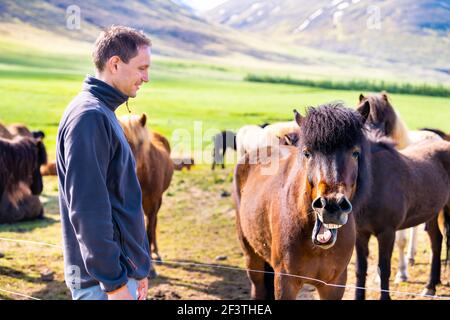 Young happy man standing by Icelandic horses in outdoor stable paddock in Iceland countryside rural farm with Sulur mountains and horse making funny f Stock Photo