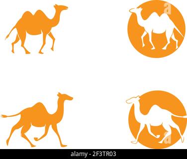 Camel logo template vector icon illustration design Stock Vector