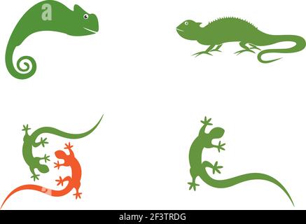 Lizard logo template vector  icon illustration design Stock Vector