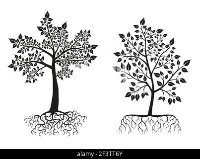 Black trees and roots silhouettes with leaves. Tree root, flora tree foliate, plant tree. Vector illustration set Stock Vector