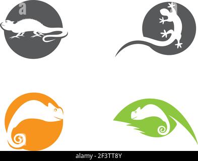Lizard logo template vector  icon illustration design Stock Vector