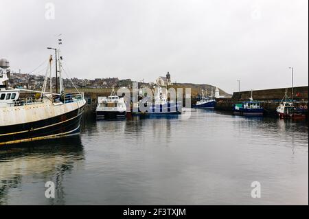 View of Macduff harbour and a variety of trawlers and lobster boats tied up alongside the quay on New Years Day. Stock Photo