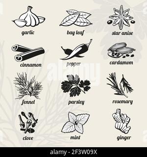 Spice vector icons set. Spice icon, cooking spice, ingredient spice fresh, aroma spice natural illustration Stock Vector