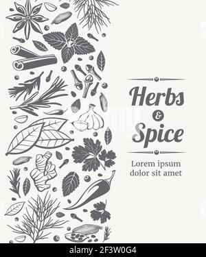 Herbs and spices sketch decorative vector background for card design Stock Vector