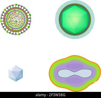 bacteria and virus cells isolated. Stock Vector