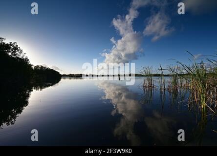 Nine Mile Pond afternoon cloudscape and reflections in Everglades National Park. Stock Photo