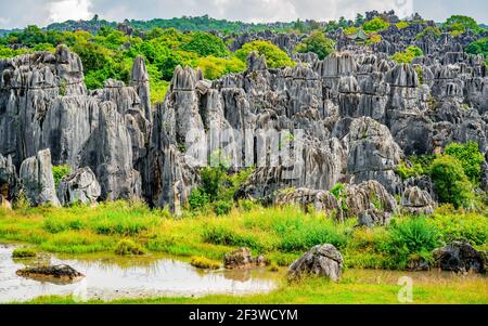 View of Shilin major stone forest with bright fall colors and pond in Kunming Yunnan China Stock Photo