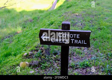 Wooden Coyote Creek Trail sign at the Holman Ranch in Carmel Valley, California, USA; hiking trail marker and sign. Stock Photo