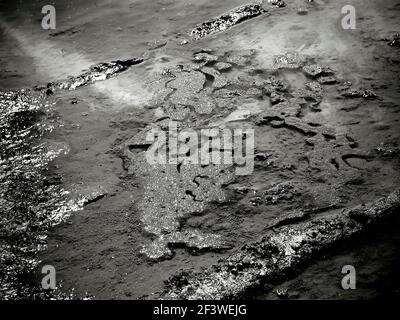 A puddle with abstract natural mud patterns. Stock Photo
