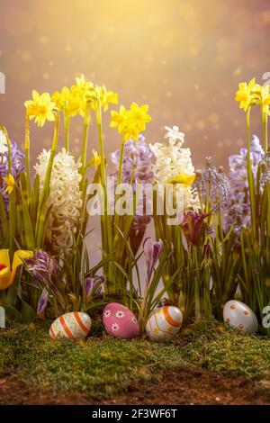 Easter composition with spring flowers and Easter eggs. Easter card with copy space. Stock Photo