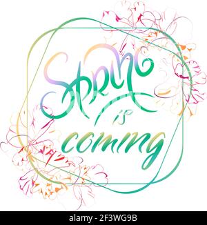 hand drawn spring is coming sigh in frame, typography lettering poster with flowers, very tender decor, vector. Stock Vector