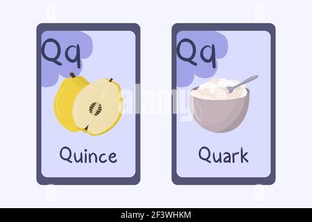 Colorful alphabet flashcard Letter Q - quark, quince. Stock Vector