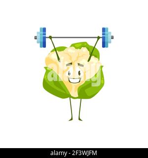 Cartoon cauliflower vegetable workout with barbell. Vector funny plant sportsman character sport exercises isolated on white background. Healthy food, Stock Vector