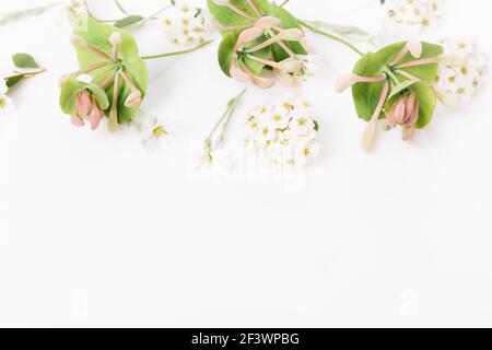 Flowers and eucalyptus composition. Pattern made of various colorful flowers on white background. Flat lay stiil life. Stock Photo