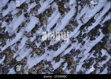 Beautiful close up view of icy structure on stones as a result of strong wind, frost and rain at Fairy Castle, Co. Dublin, Ireland. Unusual winter Stock Photo