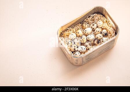 Quail eggs in wooden box with shavings on a clay floor Stock Photo