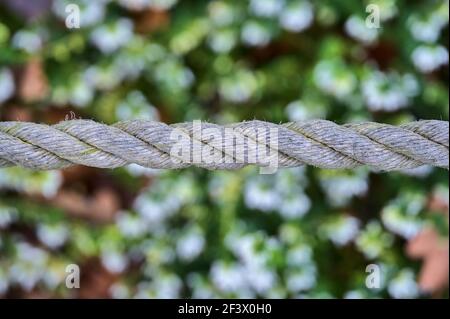 Beautiful close up view of old common natural fibers rope on green spring background with soft and selective focus. Rope fence and edging in garden Stock Photo