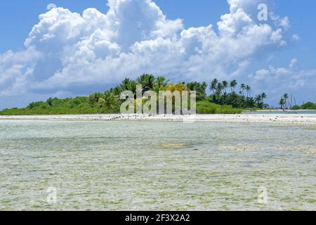 French Polynesia, Windward Islands, Society Islands: nature and vegetation on the banks of a lagoon of Tetiꞌaroa Stock Photo