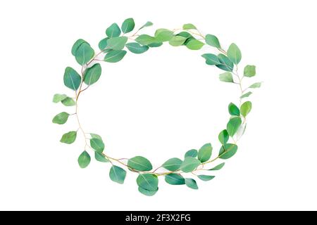 Floral oval frame, eucalyptus leaves on white background. Wreath made of eucalyptus branches. Flat lay, top view with copyspace for text. Minimal bota Stock Photo