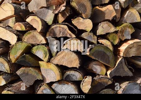 Log Pile landscape Stock Photo