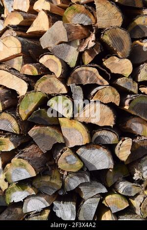 Log Pile portrait Stock Photo