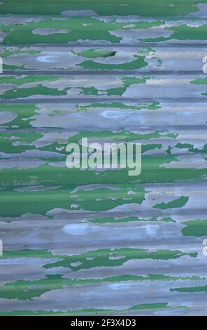 Paint Peeling from Corrugated Iron Stock Photo