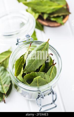 Fresh green bay leaves in jar on white table. Stock Photo