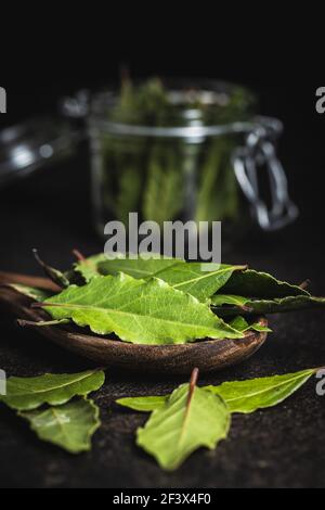 Fresh green bay leaves on black table. Stock Photo