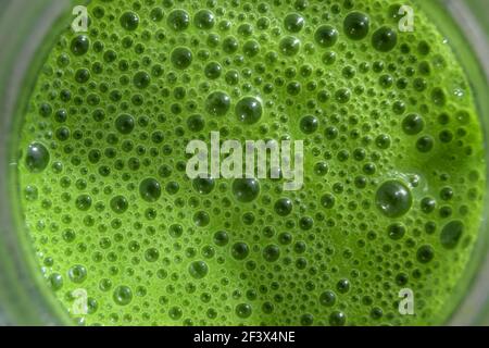 Green Smoothie Bubbles Stock Photo