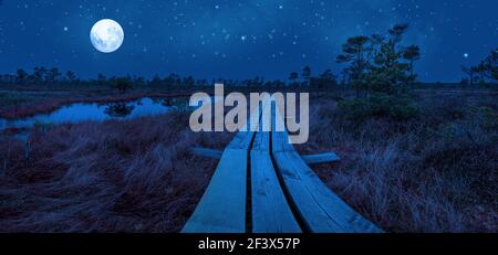 Panoramic view of bog at night with wooden path, small ponds and pine trees. Hiking trail with wooden walkway that goes across the swamp Stock Photo