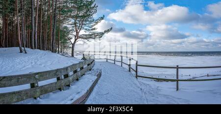 Panoramic view of wooden bench and Baltic sea coast covered in snow during sunny day with blue sky and clouds. Covered in snow sea beach with pine for Stock Photo