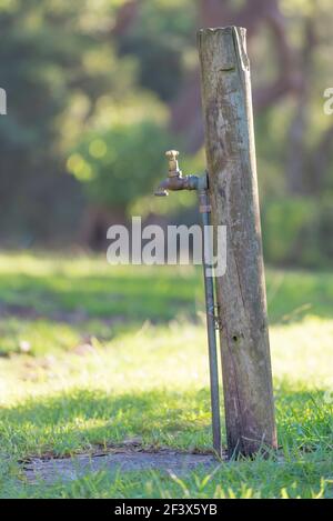 A shiny brass water tap or faucet mounted to a timber post provides a fresh water source at a camping ground in New South Wales, Australia Stock Photo