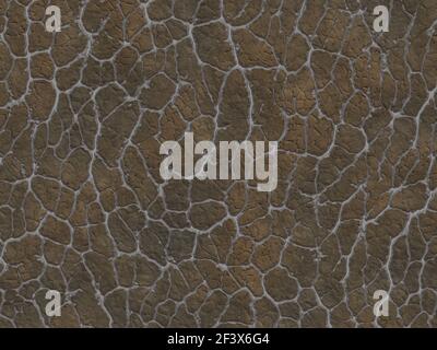 dry cracked ground texture. abstract relief pattern Stock Photo