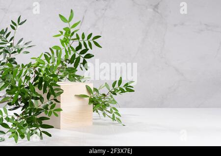 Natural wood cube podium with green leaves in white, grey marble interior with sunlight, shadow. Showcase for cosmetic products, goods, shoes, bags, w Stock Photo