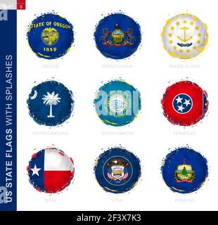 South Carolina US flag with brush stroke effect and information text ...