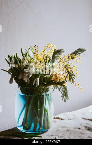 Spring flowers background. Bouquet in a glass vase. White background. Yellow mimosa flowers. Stock Photo