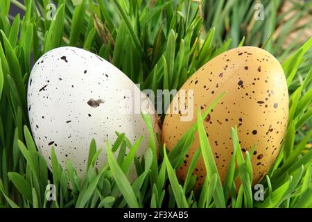 Easter celebration concept: Two close-up Easter eggs hidden in green grass Stock Photo