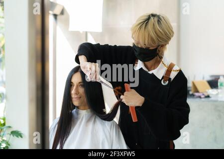 Professional stylist cutting woman's hair in salon Stock Photo