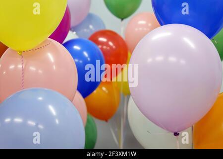 Helium balloons with ribbons in the office. Colorful festive background for birthday celebration, corporate party Stock Photo