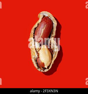 Peanuts on a red background Stock Photo
