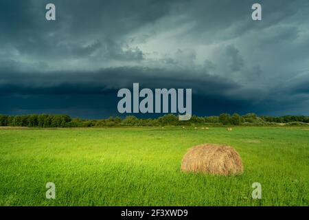 Dark stormy cloud above the green meadow, Czulczyce, Poland Stock Photo
