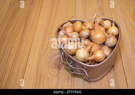 Small onion seedlings for planting in the garden on wooden background - onion propagation concept Stock Photo