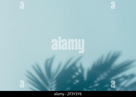 Palm leaf shadows on blue wall. Copy space. Backdrop texture for design Stock Photo