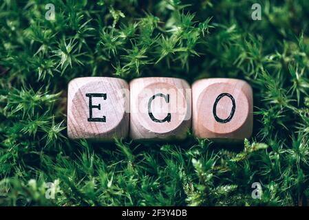 Wooden cubes with word Eco over green grass, forest moss background. Top view. Copy space. Text Eco on craft blocks. Ecology, organic, zero waste Stock Photo