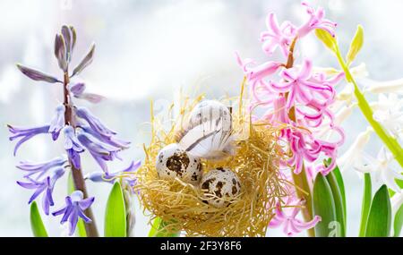 Easter holiday concept on light background quail eggs in sawdust in the nest surrounded by blue and pink hyacinths selective focus Stock Photo