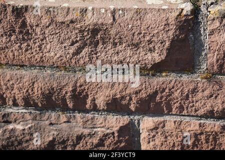 A closeup shot of a brick wall with grass growing from the cement parts Stock Photo