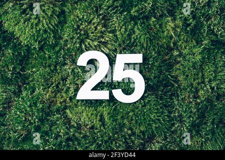 Green grass, digit twenty-five. Birthday greeting card with inscription 25. Anniversary concept. Top view. White numeral on eco moss background Stock Photo