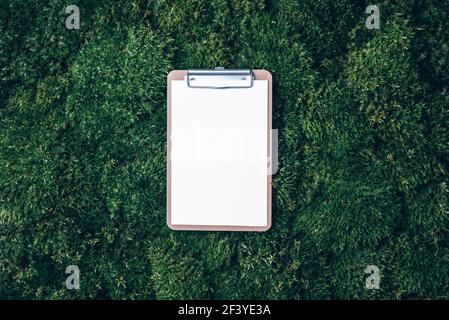 Craft notebook, sketch book on fresh spring green grass, moss background. Copy space. Top view. Wild nature, ecology concept. Summer forest Stock Photo